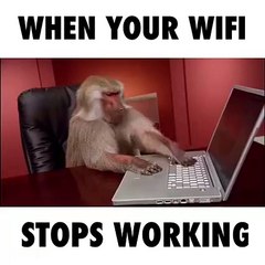 When your wifi stops working...