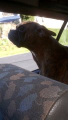 on the road again,again!