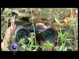Greek Military training with the Legendary Barret 50 Caliber Sniper Rifle
