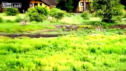 An unusual encounter in the wild