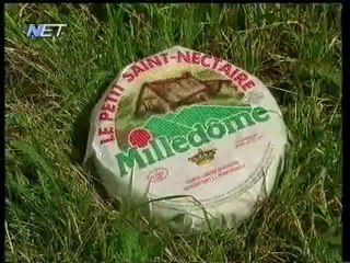 ΤΟ ΓΑΛΛΙΚΟ ΤΥΡΙ/LE FROMAGE SAINT-NECTAIRE