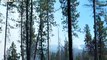 LiveLeak.com - USFS CREW SETTING A BACK FIRE AND HELICOPTERS DOING BUCKET DROPS ON FOREST FIRES