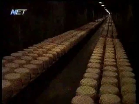 ΤΑ ΓΑΛΛΙΚΑ ΤΥΡΙΑ / LES FROMAGES CANTAL & SALERS