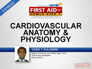 Cardiovascular Anatomy and Physiology Part 1