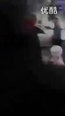 komik-köpek videoları