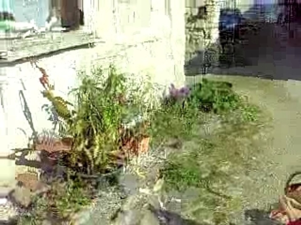 Des oeufs en bas de la chambre de mamie