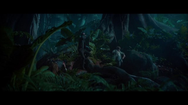 IR Short Takes: PAN [Warner Brothers]