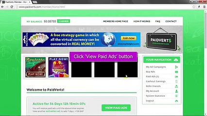 PaidVerts Full Guide