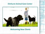 Elmhurst Animal Care Center - Welcoming New Client