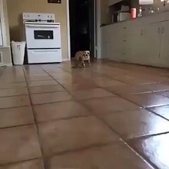 Allez on n'est prêt pour aller au club