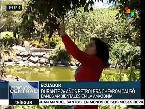 Irreparables, daños ambientales de Chevron en Amazonía ecuatoriana