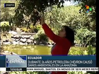 Irreparables, daños ambientales de Chevron en Amazonía ecuatoriana