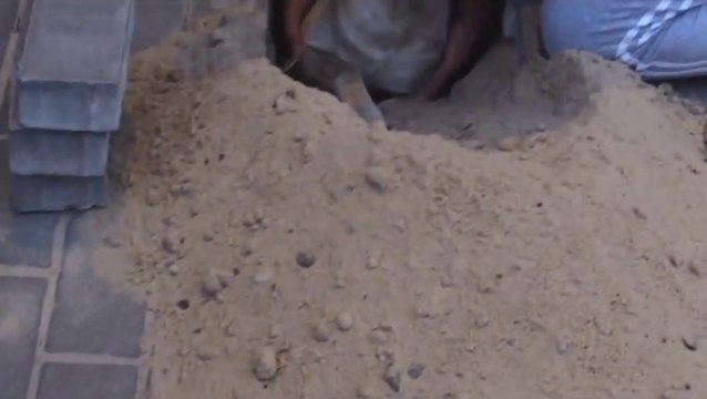 Pregnant Dog buried alive under street ground saved by a man!