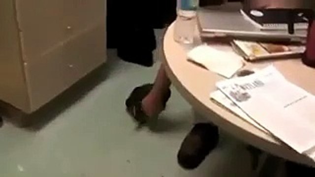 Что будет если пощекотать пингвина