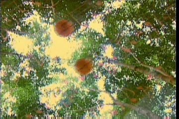 Đời còn cô đơn  (Nguoi yeu co don 2) - Trường Vũ - Karaoke