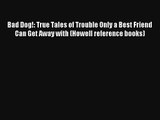 Bad Dog!: True Tales of Trouble Only a Best Friend Can Get Away with (Howell reference books)