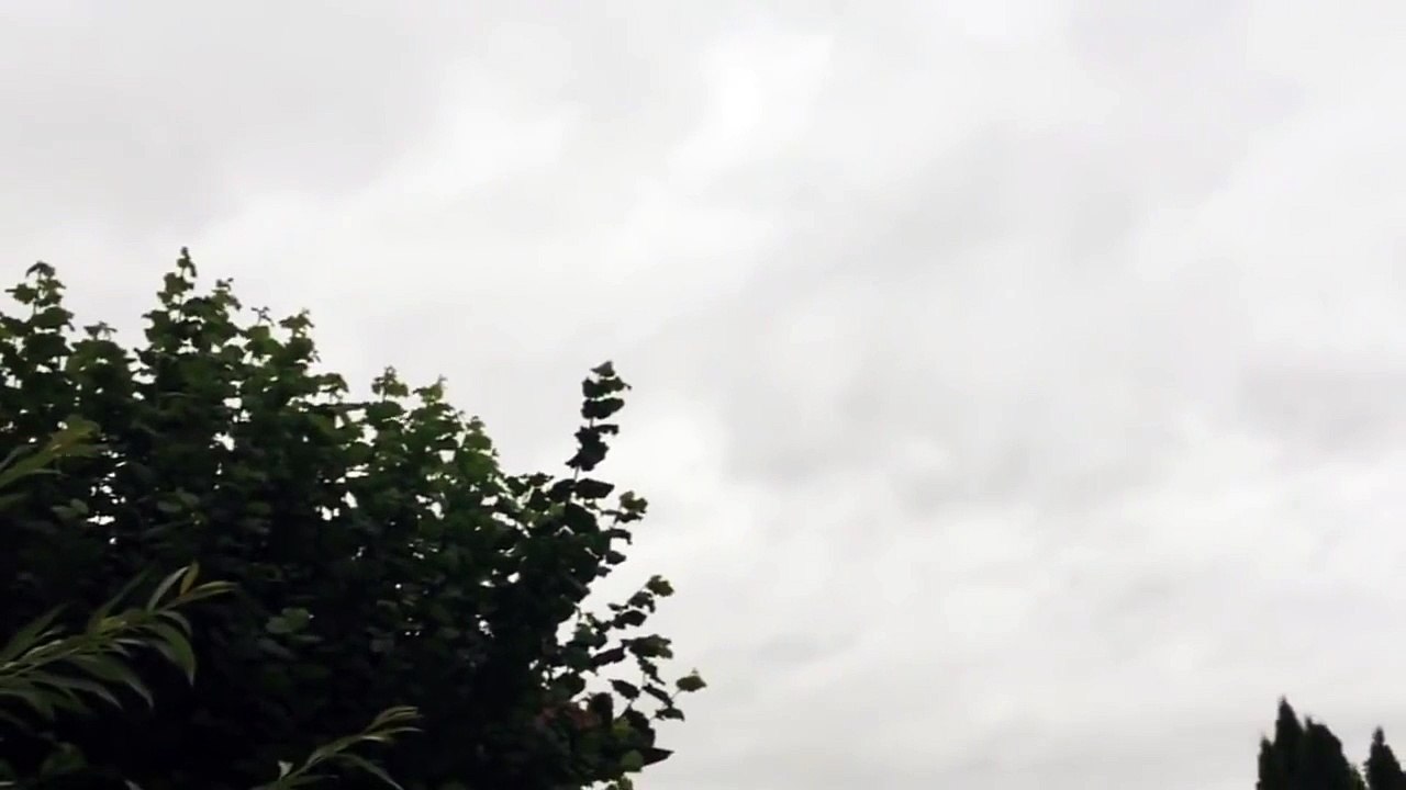 [Video] Strange creature flying across the sky in Ohio. USA....