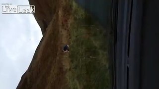 Just a casual shit at the side of the road