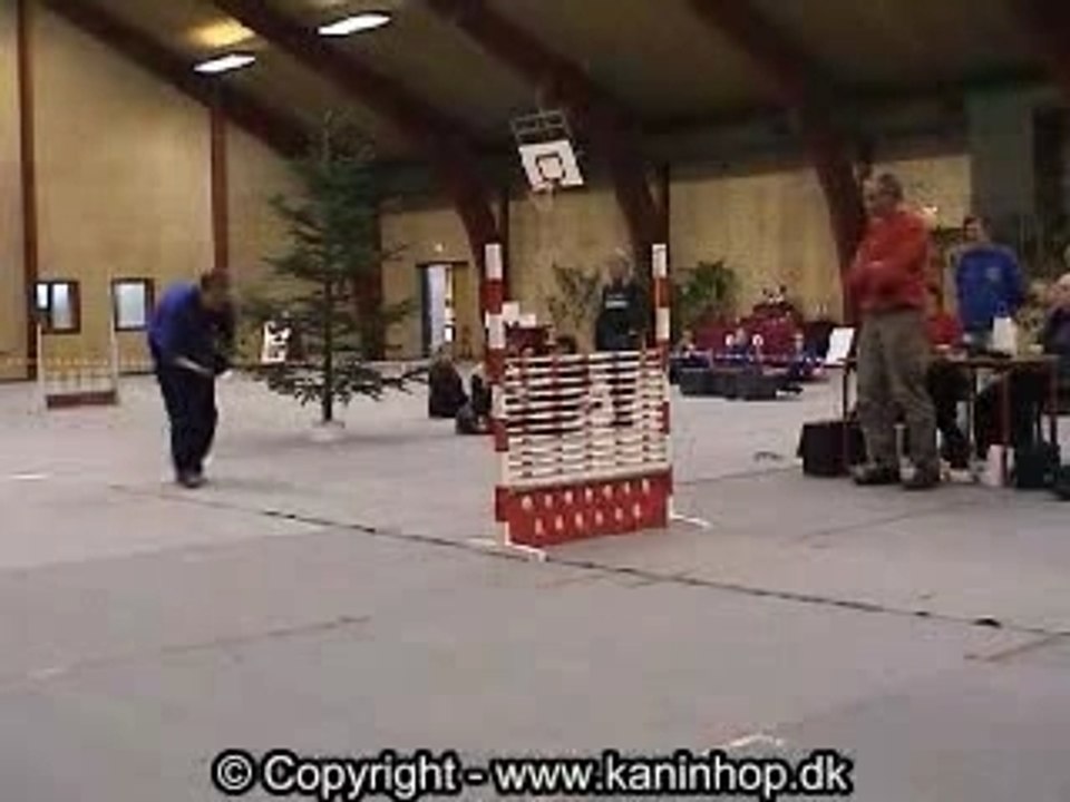 Saut de lapin