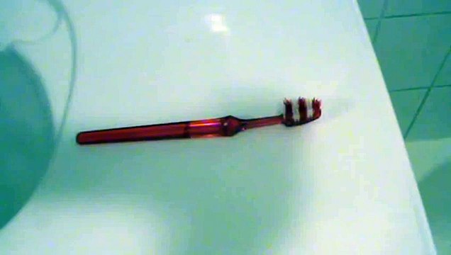 How To Apply Toothpaste to a Toothbrush Correctly