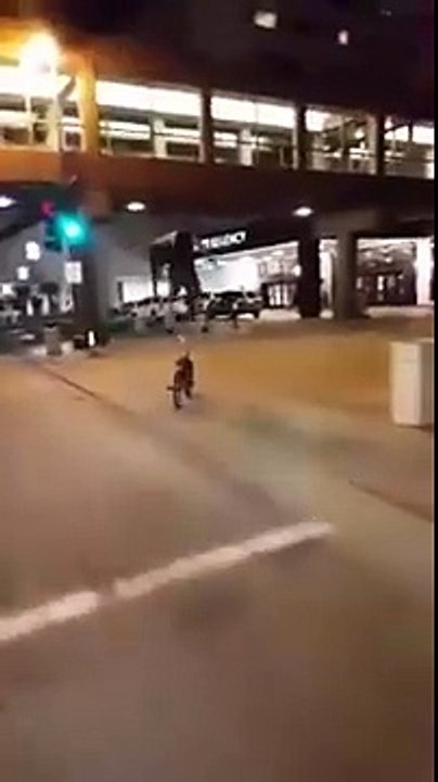 (12) Funny Videos
