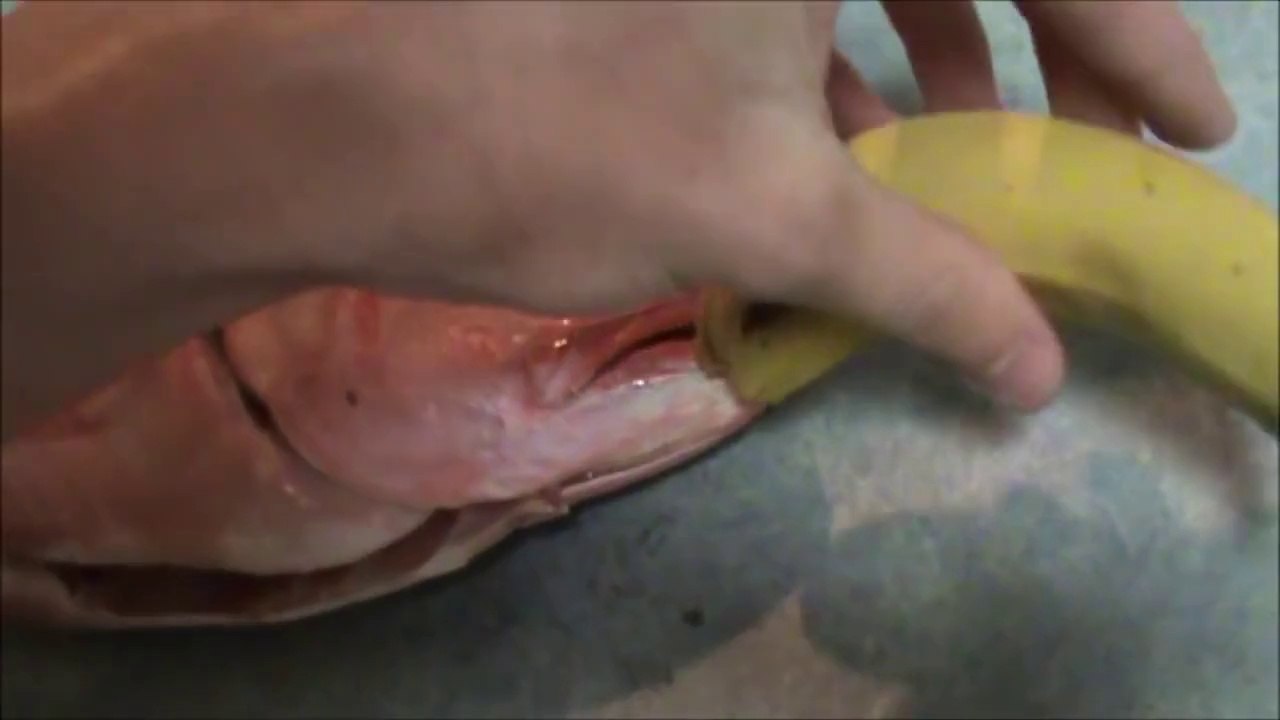 How To Correctly Cook Salmon