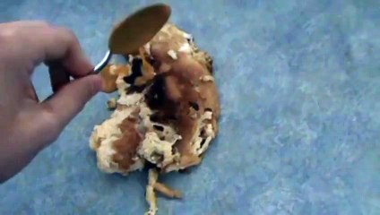 How To Correctly Serve a Burnt Omelette