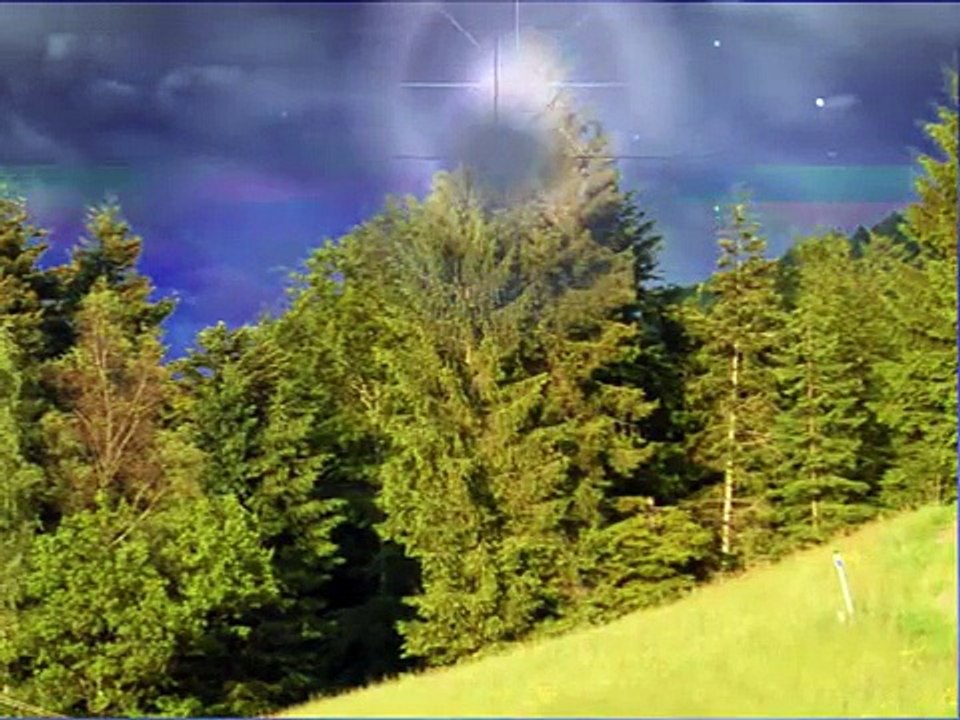 Vivaldi Four Seasons _ Best of Classical Music _ 4 Jahreszeiten ( Frühling, Spring ) Antonio