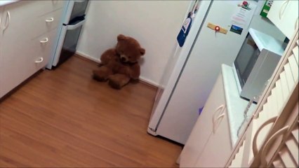 How To Defend Yourself From a Bear Attack