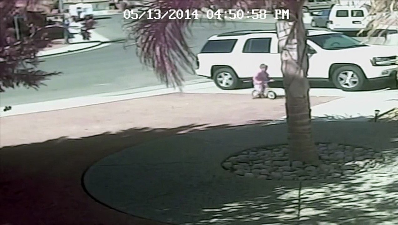cat save the child from dog
