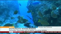 BBC ニュージーランドが広大な海洋保護区を指定
