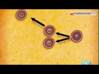 TGSRVset29 scienziati pugliesi in prima linea