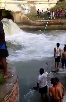 Sangrur - sikhs saved life of drowning youths