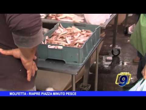 MOLFETTA | Riapre Piazza Minuto Pesce