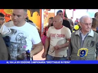 Al via la XVI edizione della campionaria Grottaglie in Fiera