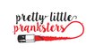 Introducing "Pretty Little Pranksters!" - a beauty prank show w/ Jamie Greenberg