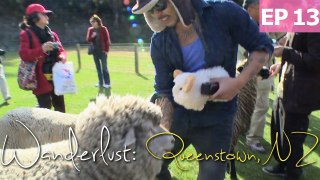 Daven's Sheep Adventures in Queenstown | Wanderlust: New Zealand [EP 13]
