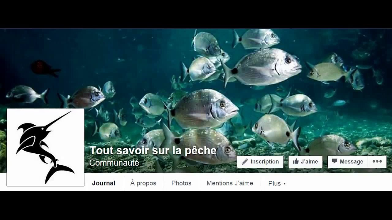 Amazing fishing !!