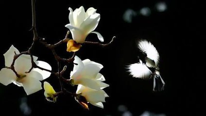 Origen - Kyrie Eleison