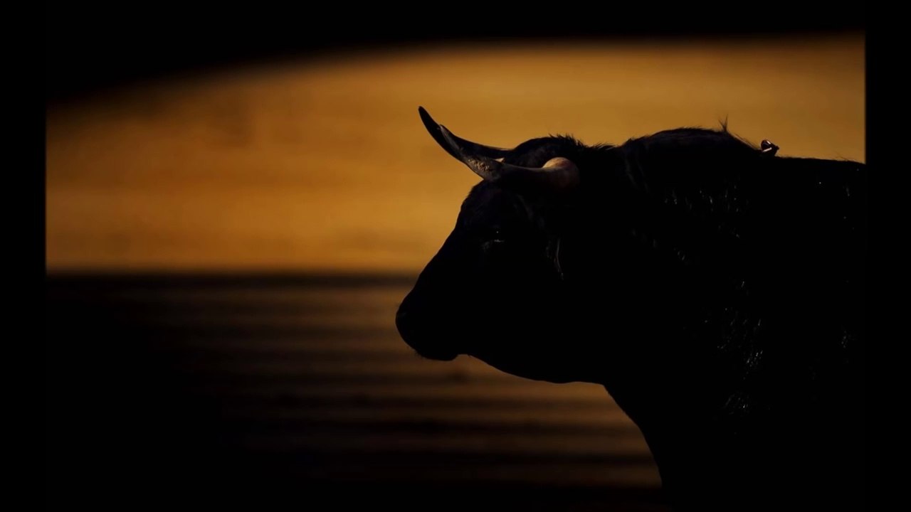 ---El toro de tu sueno-Pasodoble clasico taurino