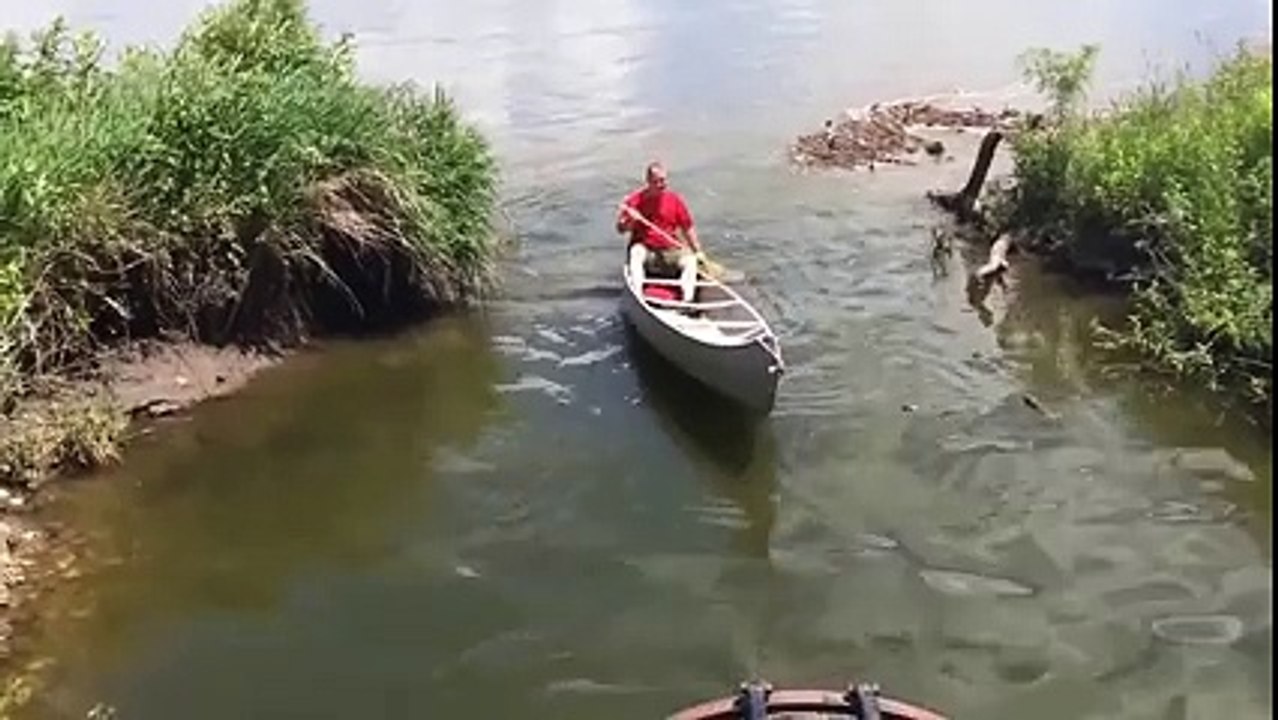 River Fish Alot