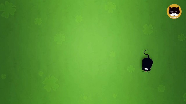 ENTERTAINMENT VIDEO FOR CATS. Cat Game on Screen. Catching a Mouse.