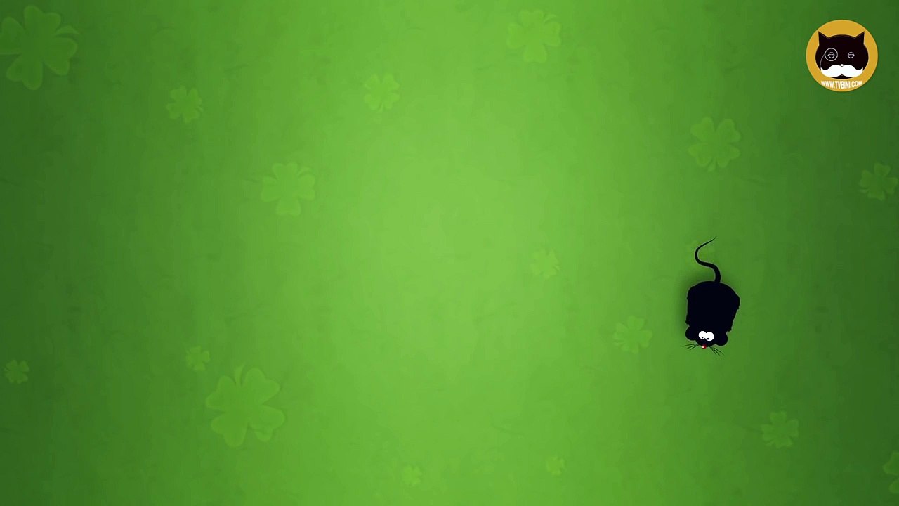 ENTERTAINMENT VIDEO FOR CATS. Cat Game on Screen. Catching a Mouse.