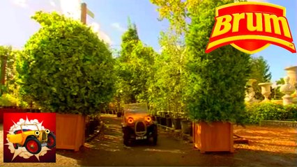 Brum 313 - BUSHES - Full Episode