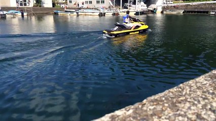 GARY YAMAMOTO 4INCH GRUB BASS FISHING BIWAKO