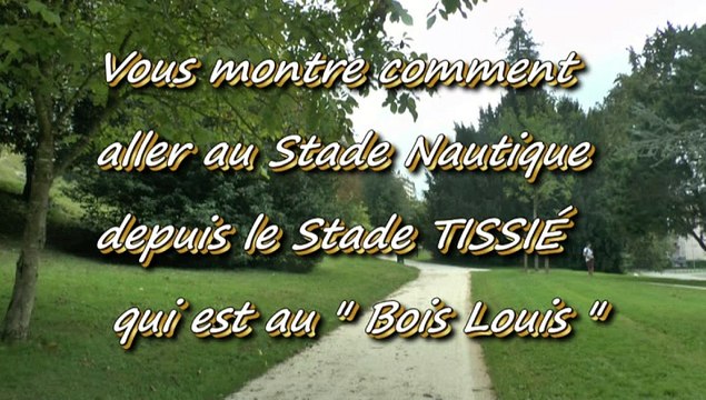 LES W-D.D. MICHOU NEWS - PAU - 27 SEPTEMBRE 2015 - LES PLANTES GÉANTES DU JARDIN DU STADE NAUTIQUE.