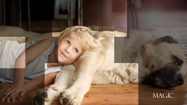 Styles Proshow Producer - Magic Proshow # 7