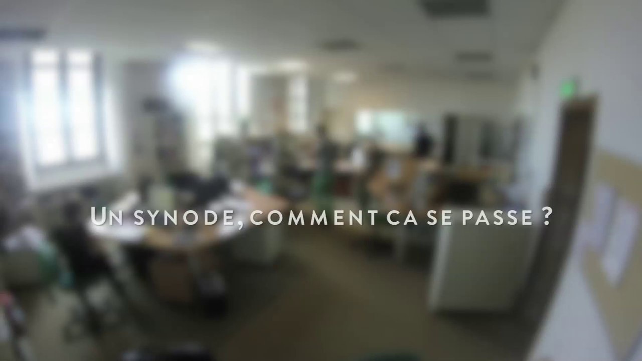 Le Synode, comment ça se passe ? par Pauline de Torsiac