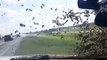 Effrayant: des abeilles encerclent une voiture de patrouille