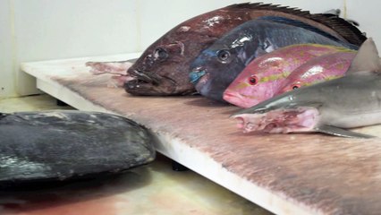Qual peixe escolher para a moqueca capixaba?